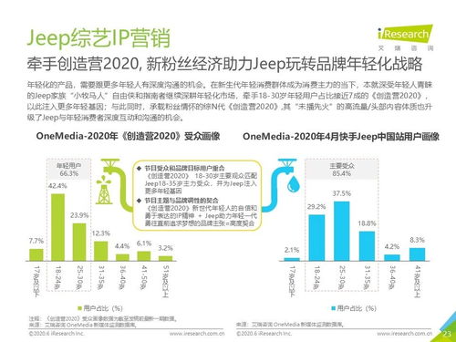 2020年中國網絡營銷監測 新市場環境下汽車營銷的文化經營之道